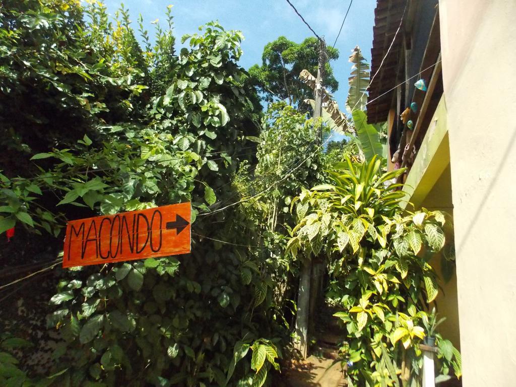 מורו דה סאו פאולו Macondo Hostel מראה חיצוני תמונה