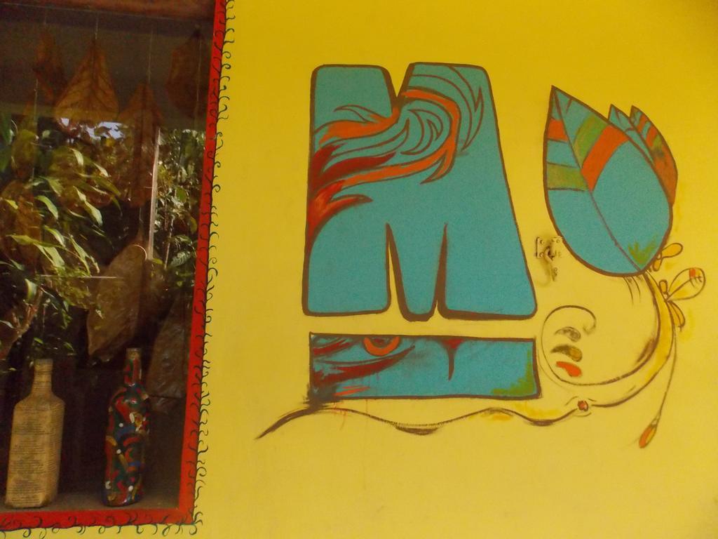 מורו דה סאו פאולו Macondo Hostel מראה חיצוני תמונה